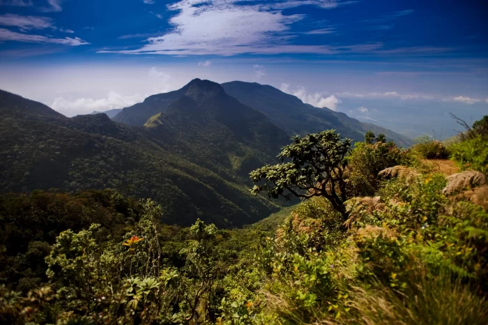 Rock Climbing in Sri Lanka 9